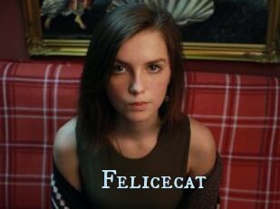 Felicecat