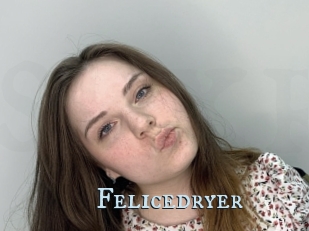 Felicedryer