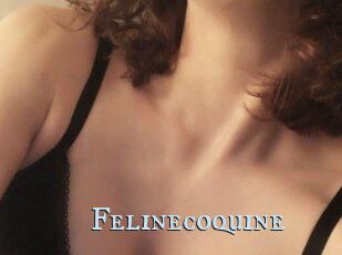 Felinecoquine