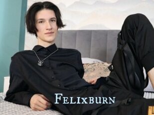 Felixburn