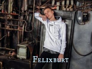 Felixburt