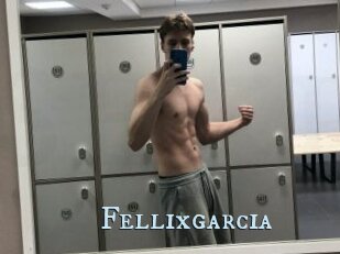 Fellixgarcia