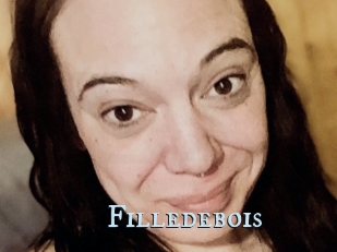 Filledebois