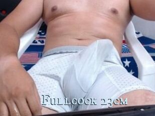 Fullcock_23cm