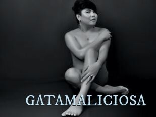 GATAMALICIOSA