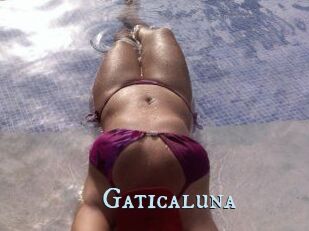 Gaticaluna