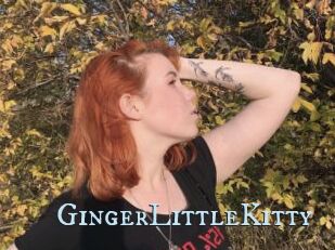GingerLittleKitty