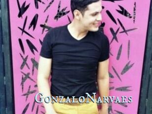 GonzaloNarvaes