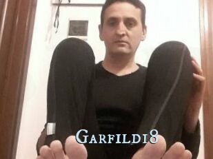Garfild18