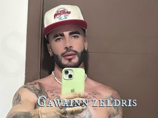 Gawainn_zeldris