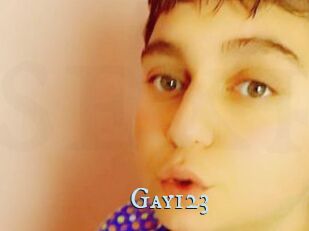 Gay123