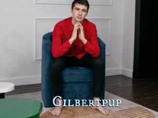Gilbertpup