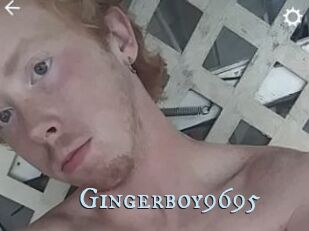 Gingerboy9695