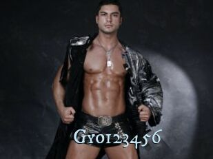 Gyo123456