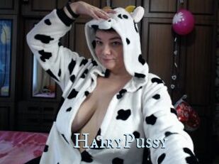 HairyPussy