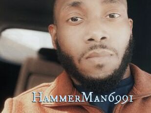 HammerMan6991