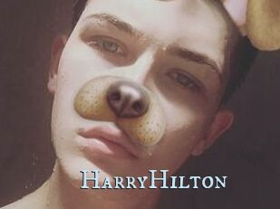 HarryHilton