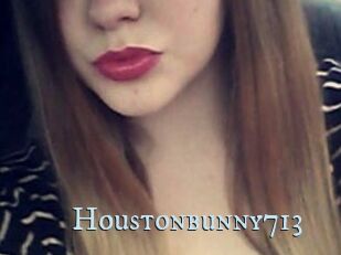 Houstonbunny713