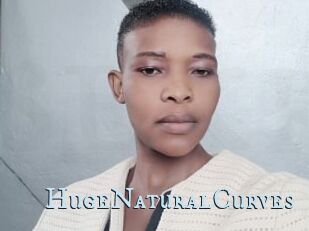 HugeNaturalCurves