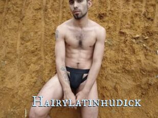 Hairylatinhudick
