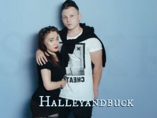 Halleyandbuck