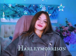 Harleymorrison