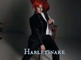Harleysnake