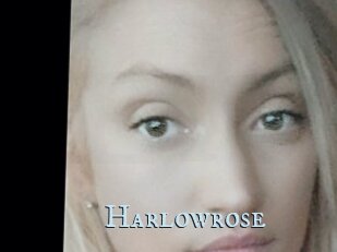Harlowrose