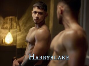 Harryblake