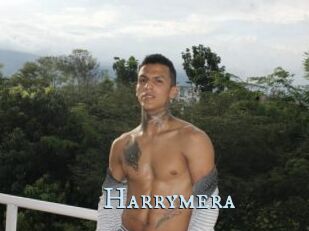 Harrymera