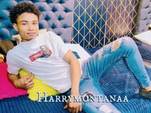 Harrymontanaa