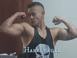 Harveywull
