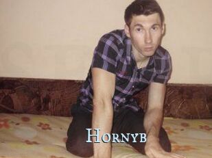 Hornyb
