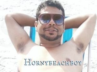 Hornybeachboy