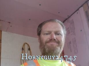 Hornyguy24745