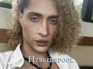 Hybridepool