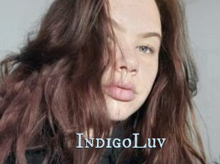 IndigoLuv