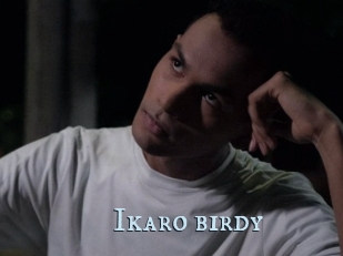 Ikaro_birdy