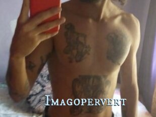 Imagopervert