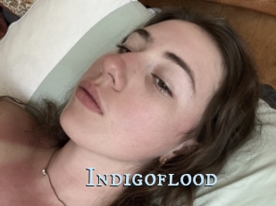 Indigoflood