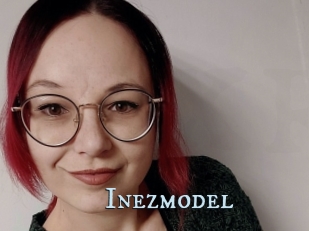 Inezmodel
