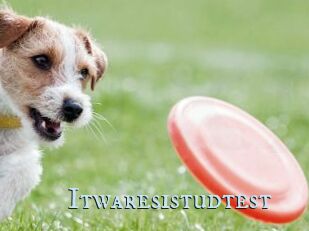 Itwaresistudtest