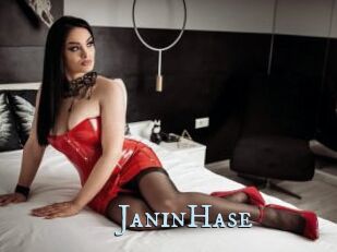 JaninHase