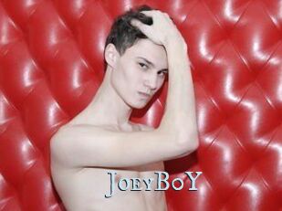 JoeyB0Y