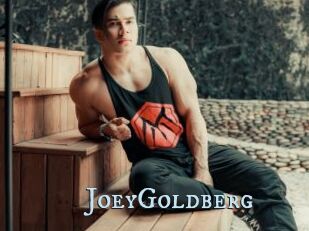 JoeyGoldberg
