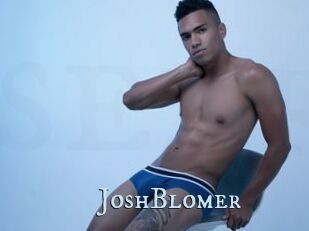 JoshBlomer