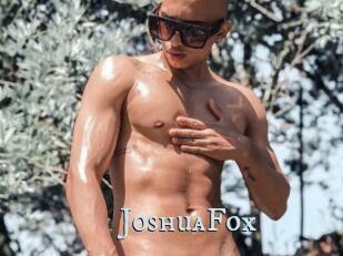 JoshuaFox