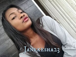 Janekesha23