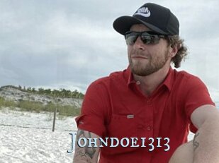 Johndoe1313