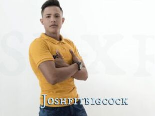 Joshfitbigcock